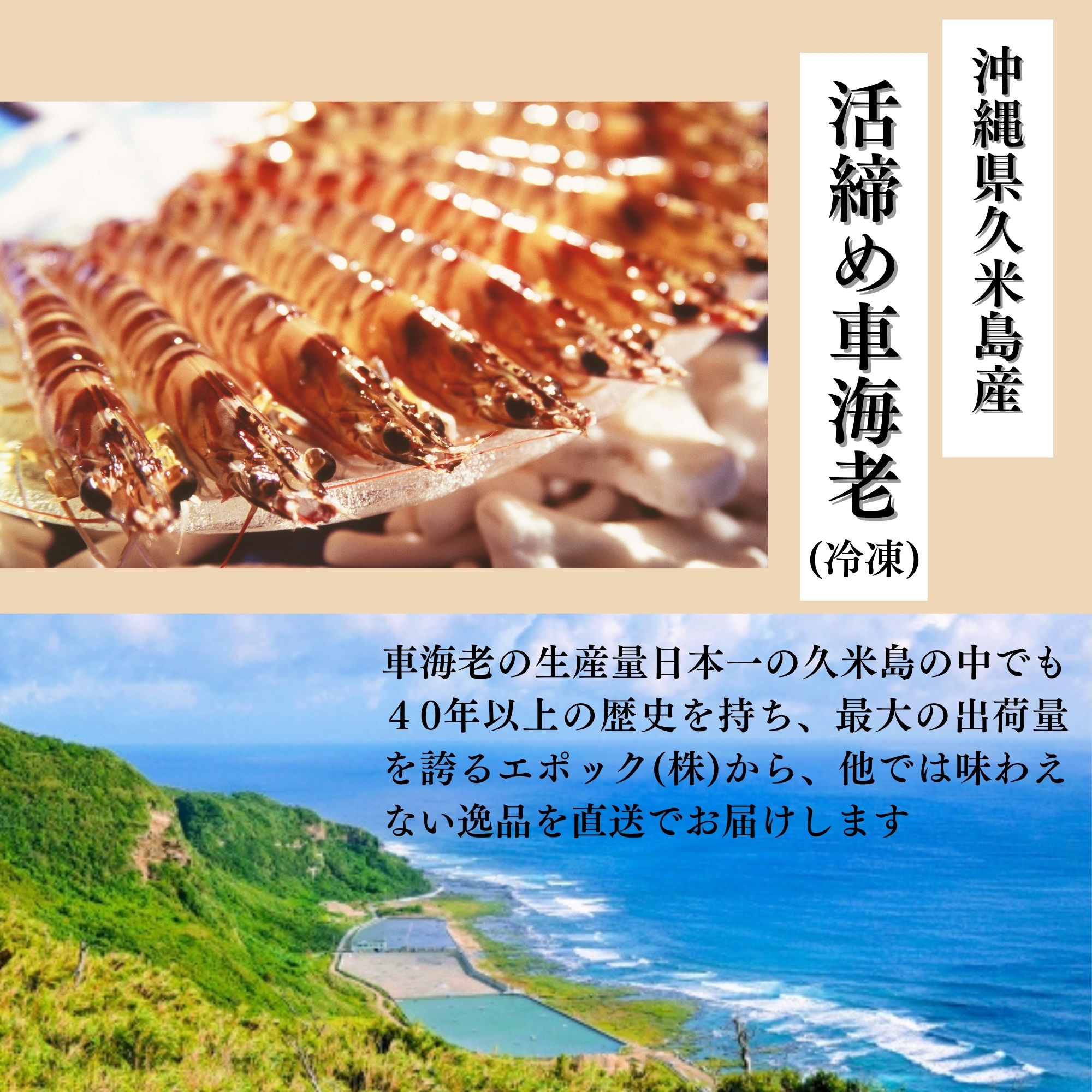 四海に通じる 于永茂 136*68CM 尾付伸ばしえび 4L | 特大 ブラックタイガー海老 - Ushop