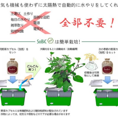 選べる野菜カプセルaグループ 水やり放ったらかしで安全野菜を自分で簡単に作れたら良くないですか 水やりの心配が無い 手間いらずで出来るオーガニックプランター 水やり心配なし 放ったらかしで安心野菜が どんどん育つ世界初の新技術 電源は不要 自動野菜栽培