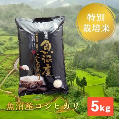 【新米】玄米5キロ/魚沼産コシヒカリ/棚田米