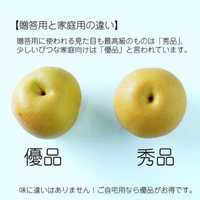 【農家イチオシ!】 豊水梨 加工・自家消費用B級品 10kg
