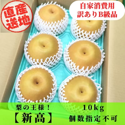 新高梨/ご家庭用/訳ありB級品/10kg