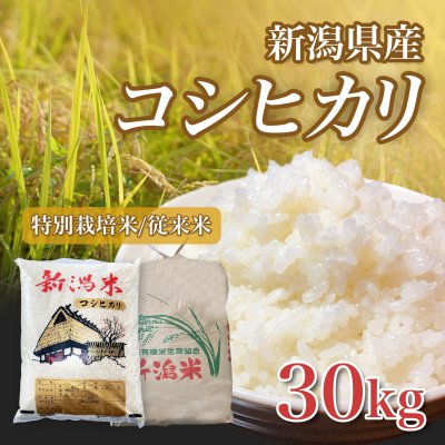 令和4年産コシヒカリ30kg【特別栽培米】【従来米】