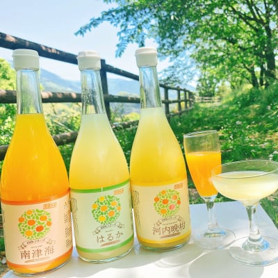 【愛媛県産】果汁100%みかんジュース3本 媛果マルシェオリジナル!
