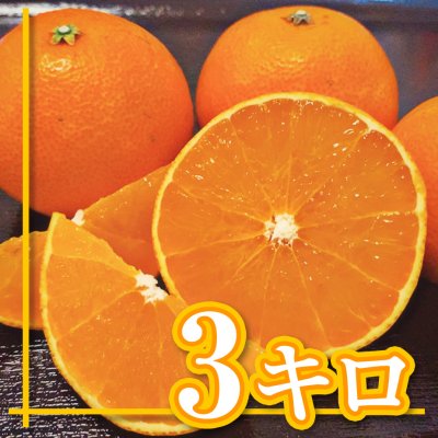 【愛媛県産】愛媛28号|えひめ28号|ご家庭用|3Kg