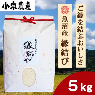 縁結び|白米【5kg】×1