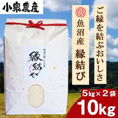 縁結び|白米【10kg】(5kg×2)