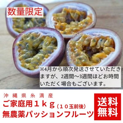 【ご家庭用1ｋｇ】【送料無料】沖縄糸満産　無農薬パッションフルーツ　10玉前後