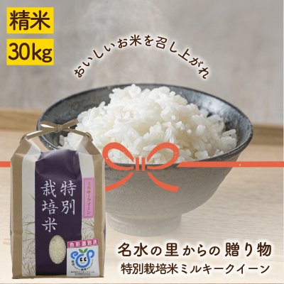 特別栽培米ミルキークイーン３０㎏