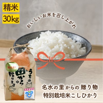 富山名水の里から生まれたこしひかり３０㎏