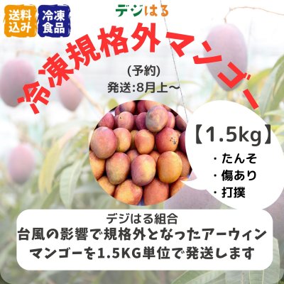 【送料込】規格外冷凍マンゴー1.5kg｜沖縄産｜フードレスキュー