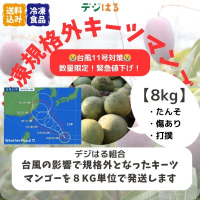 【数量限定】【送料込】規格外冷凍キーツマンゴー8kg｜沖縄産｜フードレスキュー