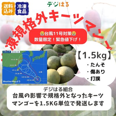 【数量限定】【送料込】規格外冷凍キーツマンゴー1.5kg｜沖縄産｜フードレスキュー