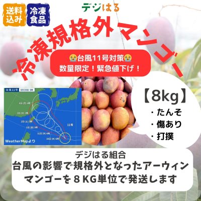 【数量限定】【送料込】規格外冷凍アーウィンマンゴー8kg｜沖縄産｜フードレスキュー